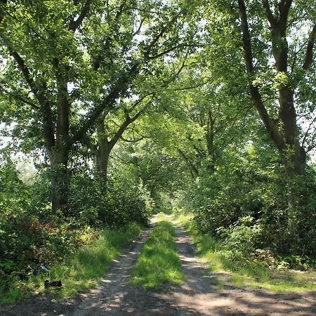 別荘 Cozy In With Wifi