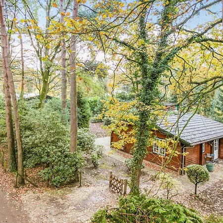 Cozy In With Wifi * Meijel