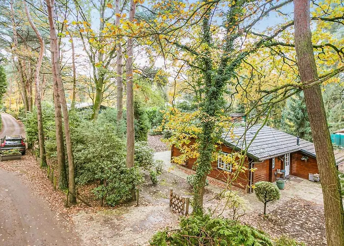 Cozy In With Wifi * Meijel